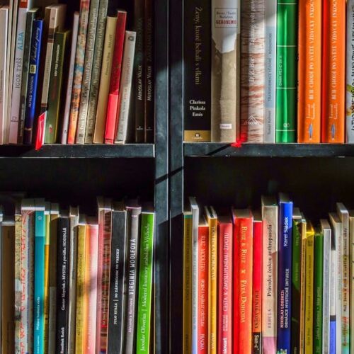 Lifelong learning, library book shelf